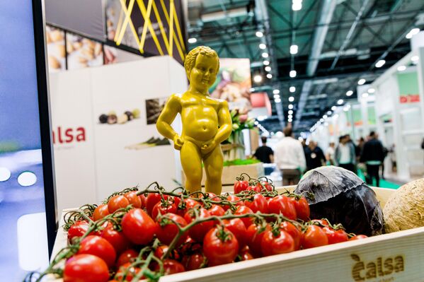 Помидоры во время открытия выставки Fruit Attraction 2025 в выставочном центре Ifema Madrid, Испания. - Sputnik Грузия