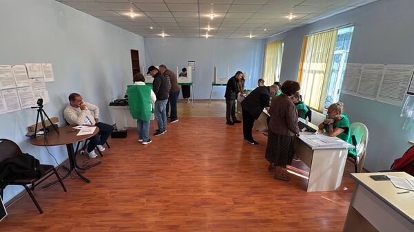 Муниципальные выборы в Грузии 4 октября 2025 года - Sputnik Грузия