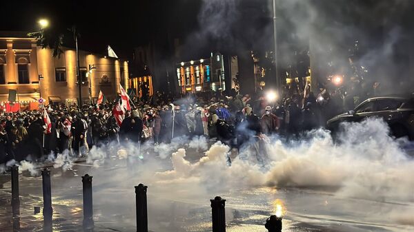 Представители силовых ведомств использовали слезоточивый газ у резиденции президента Грузии, 2025 - Sputnik Грузия