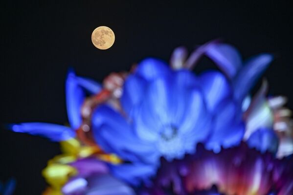 Полная Луна в Сучжоу, провинция Цзясу, Китай. - Sputnik Грузия