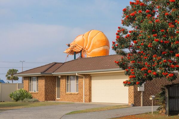 Знаменитая креветка Ballina, являющаяся частью коллекции Big Things, над магазином Bunning в Австралии. - Sputnik Грузия