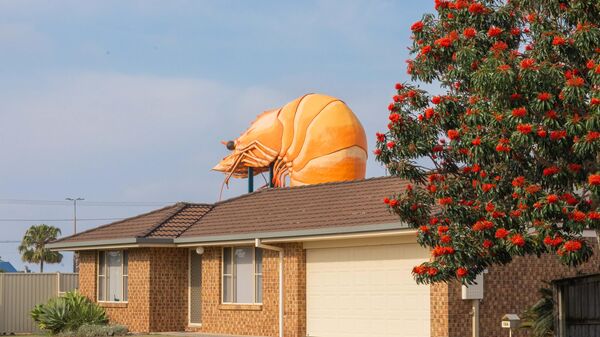 Знаменитая креветка Ballina, являющаяся частью коллекции Big Things, над магазином Bunning, Австралия - Sputnik საქართველო