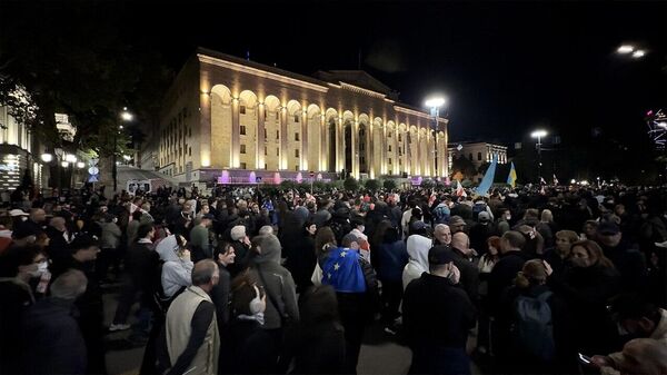 ეს კრახია! როგორ დააზიანა ოპოზიცია პრეზიდენტის რეზიდენციაზე შტურმმა - Sputnik საქართველო