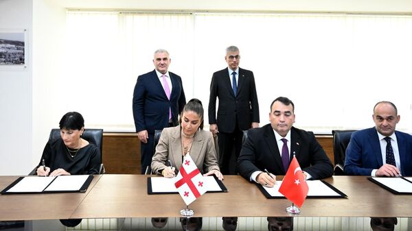 საქართველომ და თურქეთმა ჯანდაცვის სფეროში მემორანდუმს მოაწერეს ხელი - Sputnik საქართველო
