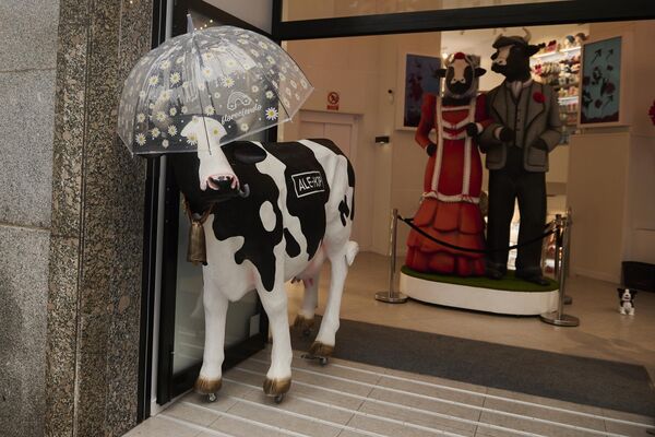 Макет коровы под зонтом во время лёгкого дождя в Мадриде. Макет коровы под зонтом во время лёгкого дождя в Мадриде. - Sputnik Грузия