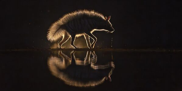 Снимок "Слюноотделение" фотографа Сюэцзюня Лонга. Снимок "Слюноотделение" фотографа Сюэцзюня Лонга. - Sputnik Грузия