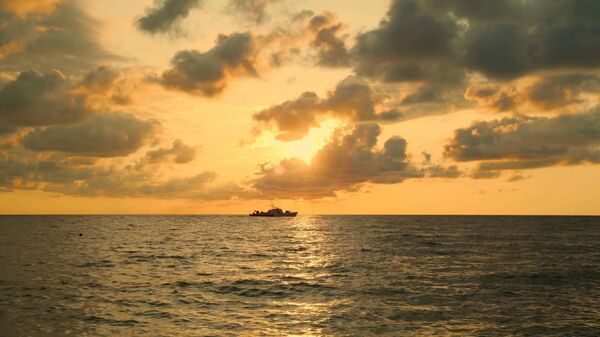 მსოფლიოში ყველაზე დიდი გოგირდწყალბადის აუზი: რით არის საშიში შავი ზღვა? - Sputnik საქართველო
