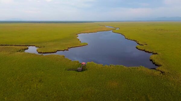 კოლხეთის ეროვნული პარკი World Travel Awards-ის გამარჯვებულია - Sputnik საქართველო