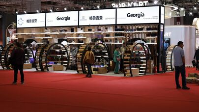 Грузии участвует в международной импортной выставке China International Import Expo 2025