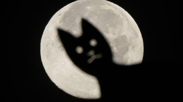 Силуэт стального кота, выполняющего функцию флюгера, виден на фоне полной луны, Германия - Sputnik საქართველო