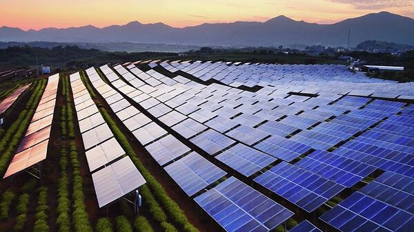 В Грузии становятся все более популярными солнечные батареи - Sputnik Грузия