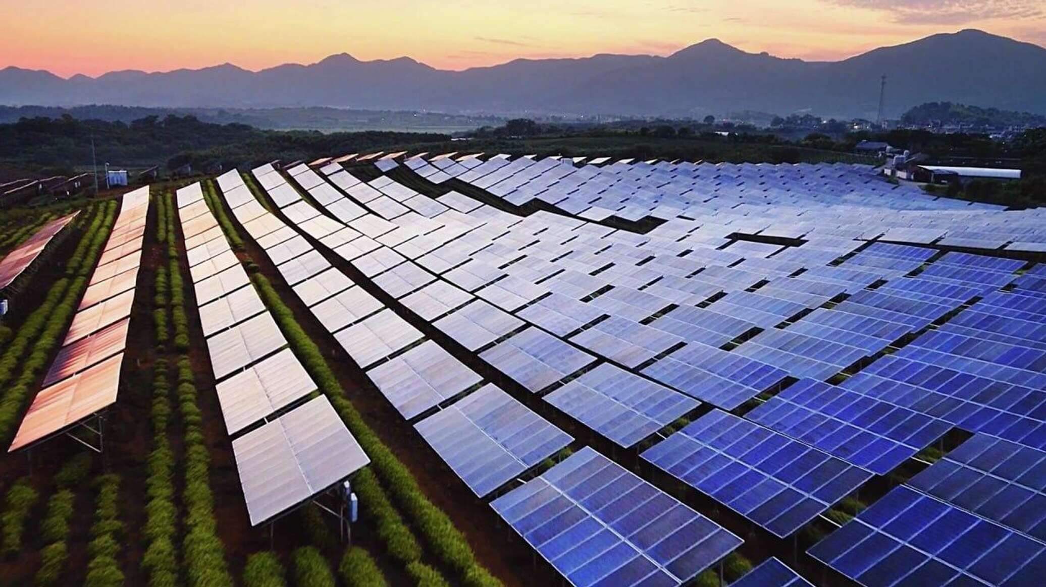 საქართველოში მზის  ენერგიის პანელები სულ უფრო პოპულარული ხდება  – ვიდეო