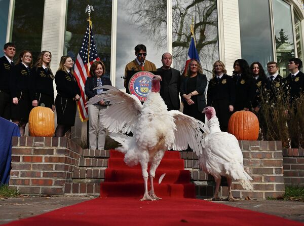  დენვერში, ინდაურების მესამე ყოველწლიური შეწყალების ცერემონიის ფარგლებში, კოლორადოს შტატის პოლიციამ ორი ინდაური შეიწყალა. - Sputnik საქართველო