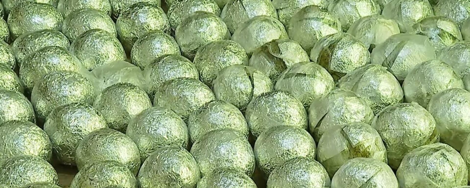 Наркотики на 3 миллиона лари – в Грузии задержали гражданина Ирана - Sputnik Грузия, 1920, 18.11.2025