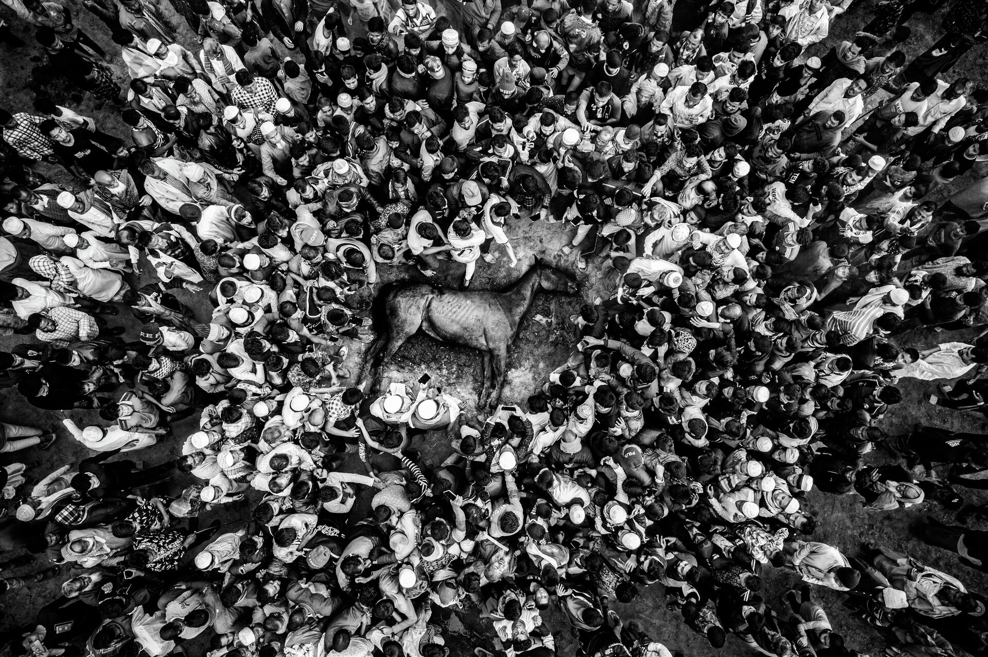 Номинация Спорт 1-е место. Последний забег: падение чемпиона
С.М. Аль Музтаба Росул. Бангладеш - Sputnik საქართველო, 1920, 18.11.2025