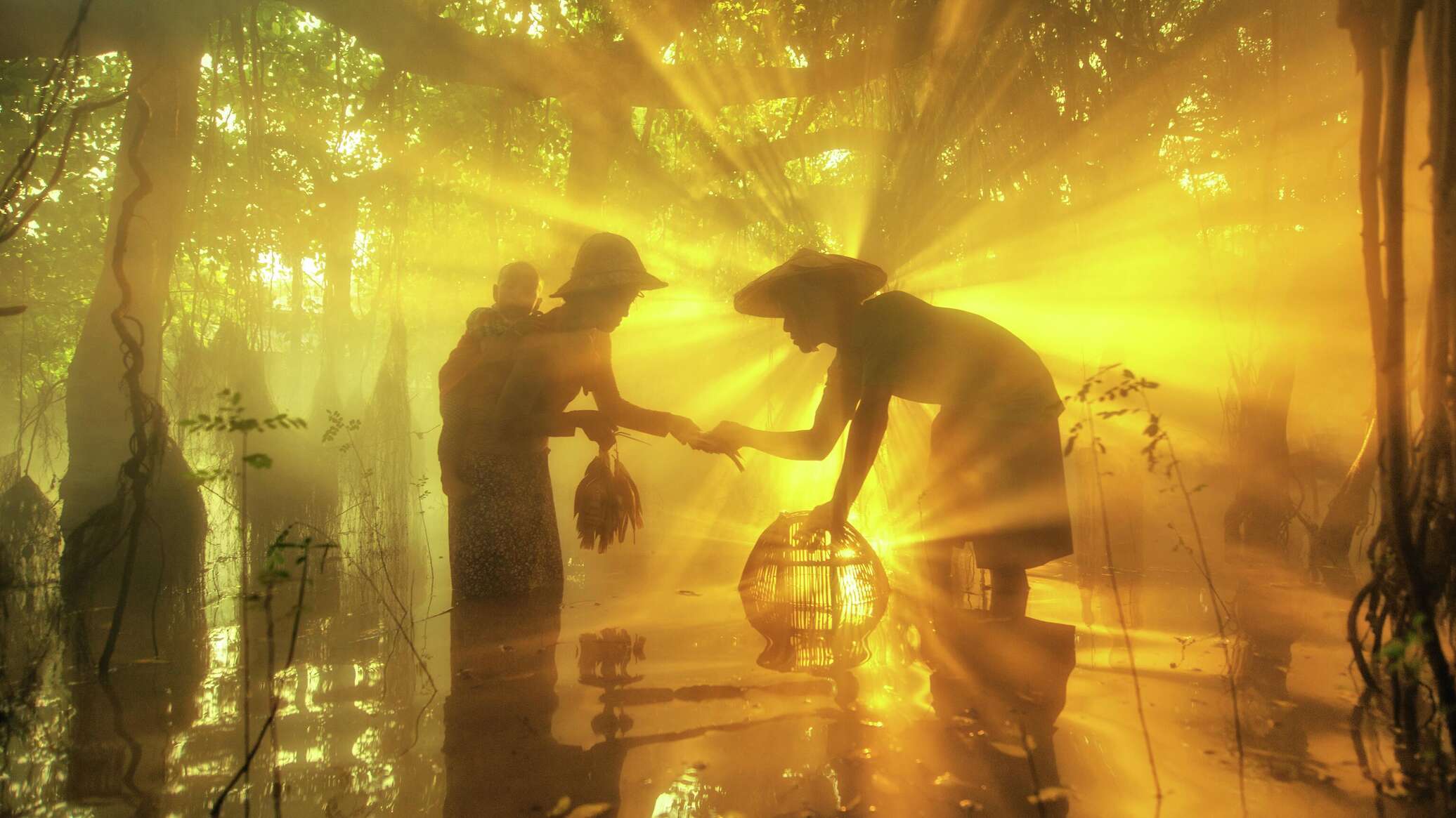 დასახელდნენ ანდრეი სტენინის ფოტოკონკურსის გამარჯვებულები