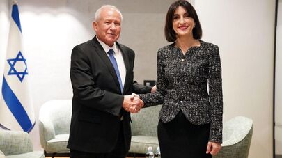 Глава МИД Грузии в Израиле
