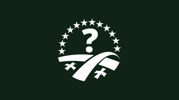 მხარს უჭერთ თუარა ნაცმოძრაობის აკრძალვის იდეას - Sputnik საქართველო