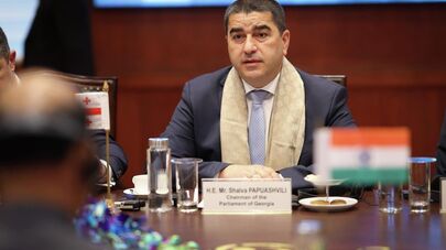 Встреча спикера парламента Грузии Шалва Папуашвили с главой МИД Индии Субраманьямом Джайшанкаром