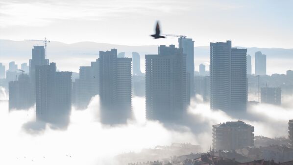 Она отметила, что оттенок также означает ясность&quot;. - Sputnik Грузия