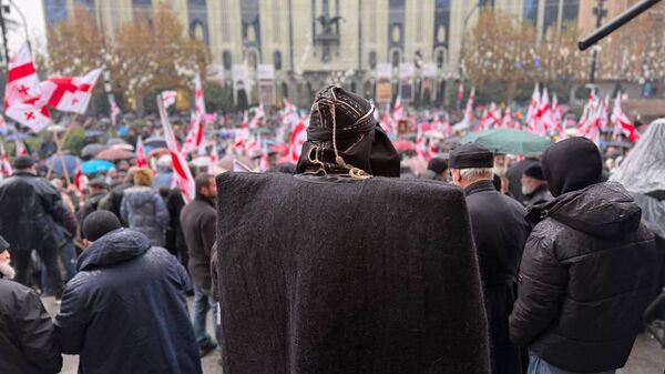 В Тбилиси протестуют против арабских инвестиций и бесконтрольной миграции - Sputnik Грузия