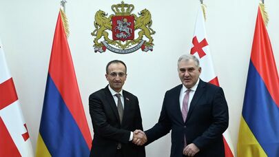 Министры здравоохранения Грузии и Армении Михаил Сарджвеладзе и Арсен Торосян