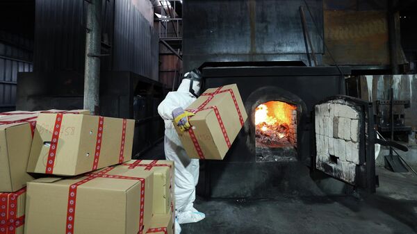 МВД Грузии сообщило об уничтожении почти тонны наркотиков - Sputnik Грузия