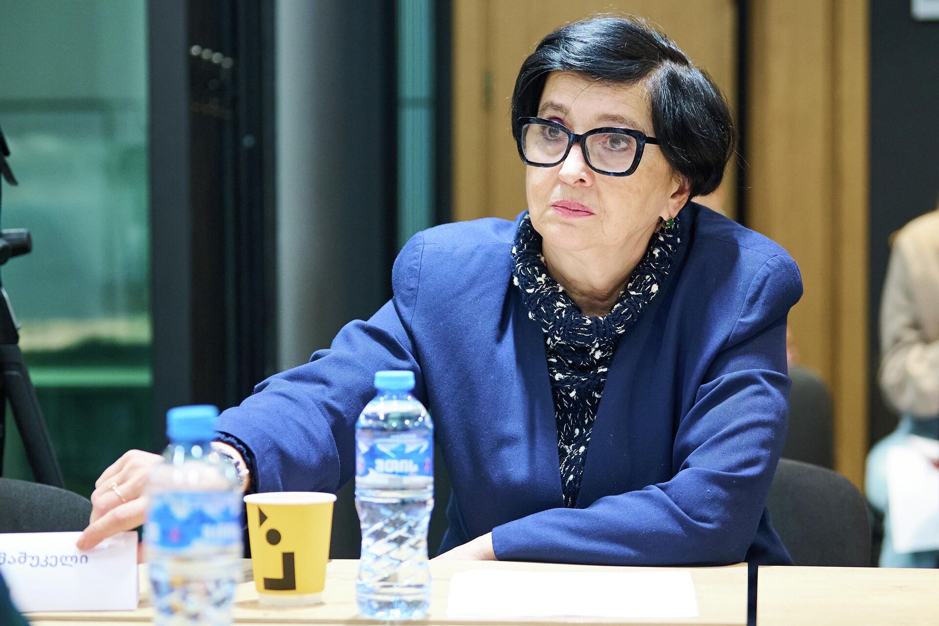 Байя Амашукели. Круглый стол газеты Свободная Грузия на тему Борьба Грузии с внешним вмешательством - Sputnik Грузия, 1920, 16.12.2025