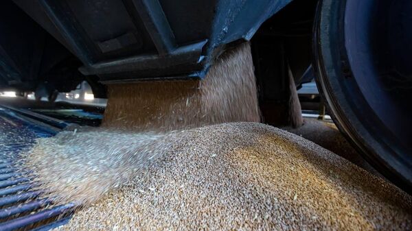 Первая железнодорожная партия зерна из России в Армению через Азербайджан - Sputnik საქართველო