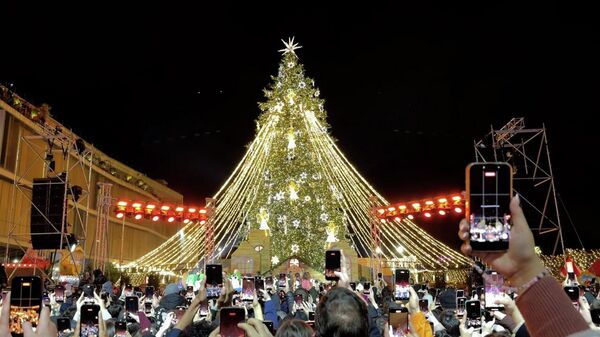 თბილისში „საახალწლო სოფელი გაიხსნა და ქვეყნის მთავარი ნაძვის ხე აინთო - Sputnik საქართველო