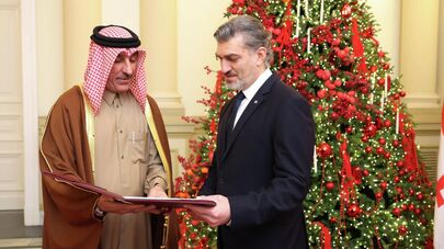 Президенту Грузии вручили верительные грамоты послы Исландии, Бразилии, Катара, Кувейта, Панамы и Алжира