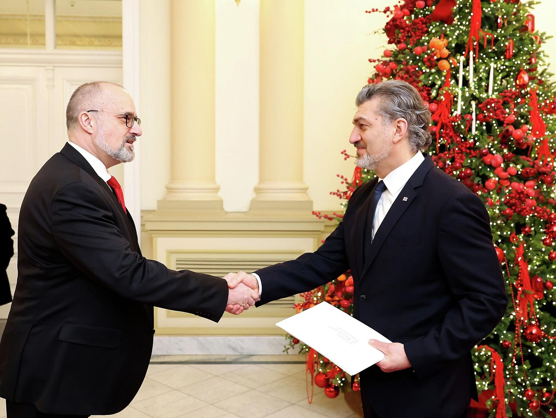 Президенту Грузии вручили верительные грамоты послы Исландии, Бразилии, Катара, Кувейта, Панамы и Алжира - Sputnik Грузия, 1920, 16.12.2025