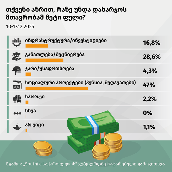 თქვენი აზრით რაზე უნდა დახარჯოს მთავრობამ მეტი ფული - Sputnik საქართველო