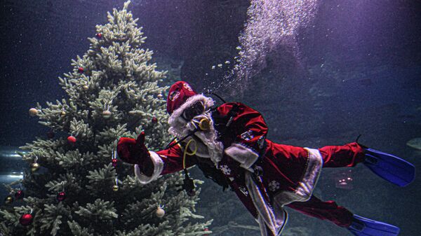 Дайвер в костюме Деда Мороза погрузился в главный морской аквариум Москвариума на ВДНХ  - Sputnik Грузия