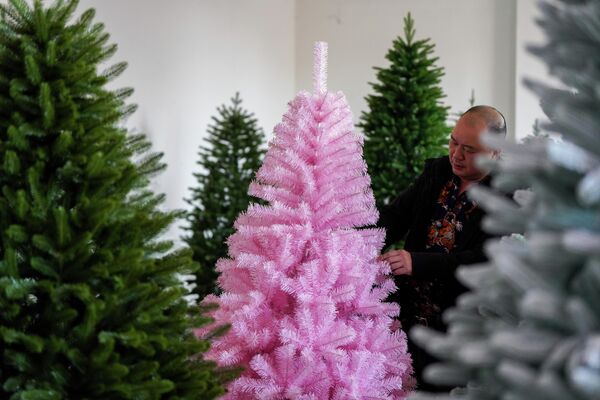 Сотрудник проверяет образцы рождественских елок в цехе по их производству в городе Цзиньхуа, Китай. - Sputnik Грузия