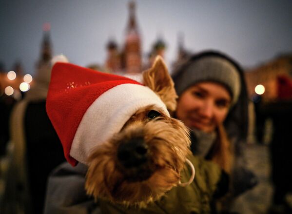 Празднование Нового года на Красной площади в Москве. - Sputnik Грузия