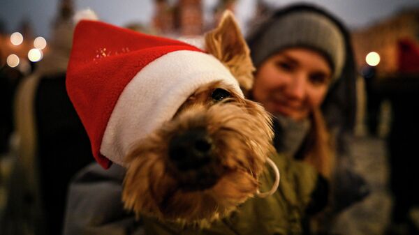 Празднование Нового года на Красной площади в Москве - Sputnik Грузия