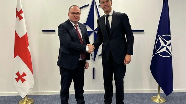 Представитель Грузии в НАТО - Sputnik Грузия