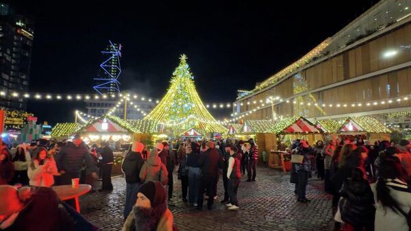 Новогодняя деревня в Тбилиси порадовала тысячи жителей и гостей города - Sputnik Грузия