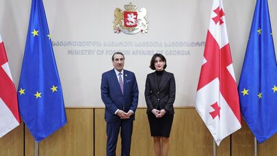 Глава МИД Грузии и посол Катара