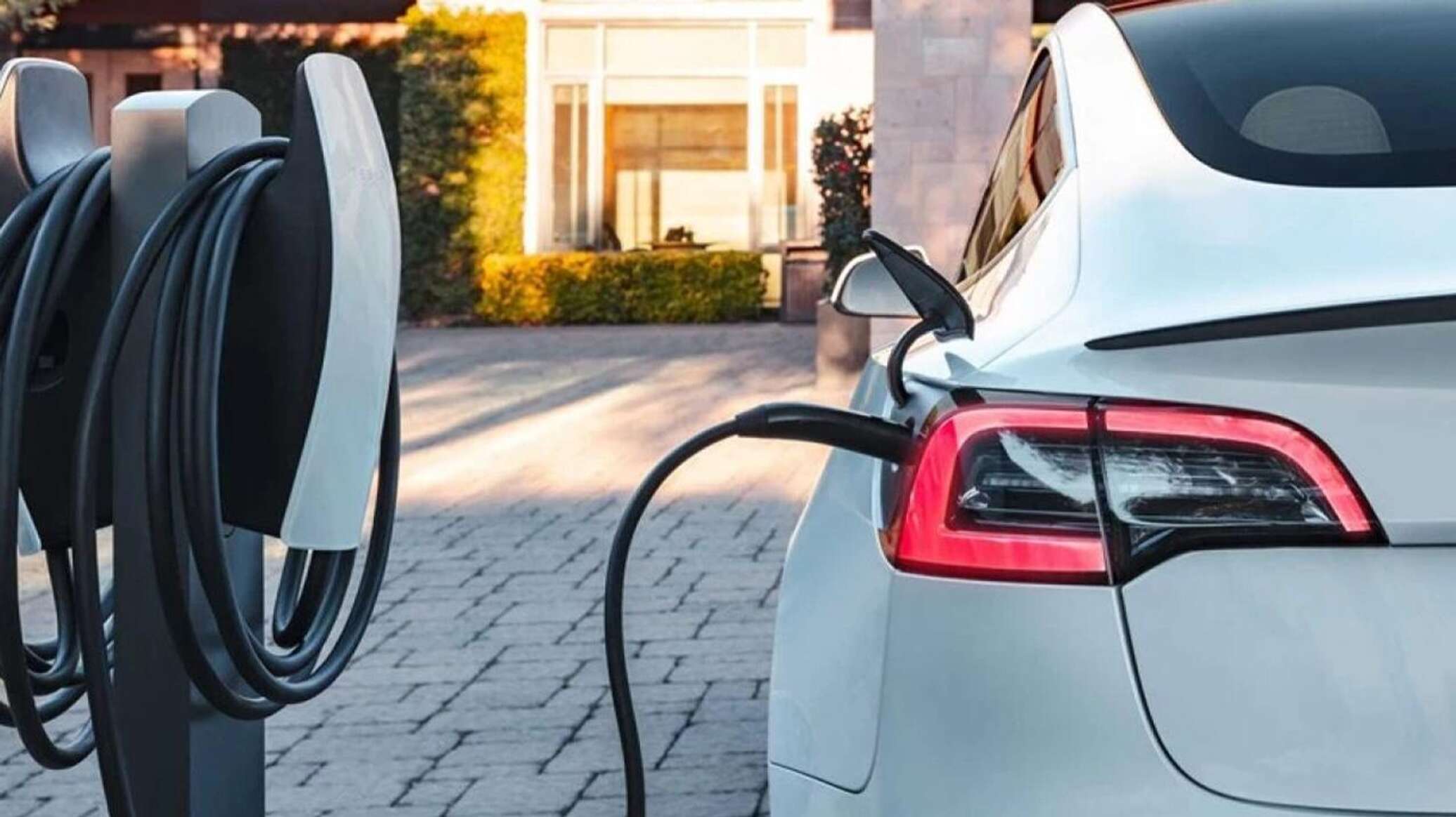 საქართველოში ელექტრომობილების იმპორტი 60%-ით გაიზარდა - ვიდეო