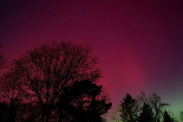 Северное сияние, также известное как полярное сияние, освещает небо над озером Фалькензее, Бранденбург, Германия. - Sputnik Грузия