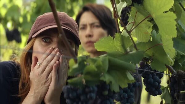 Стопкадр из сериала Drops of God, где показывается вино и виноделие Грузии - Sputnik Грузия