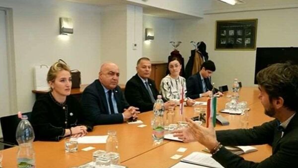 საქართველოს დელეგაცია უნგრეთში - Sputnik საქართველო