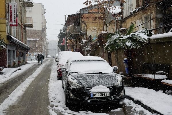 დათოვლილი პალმები ავლაბარში. - Sputnik საქართველო