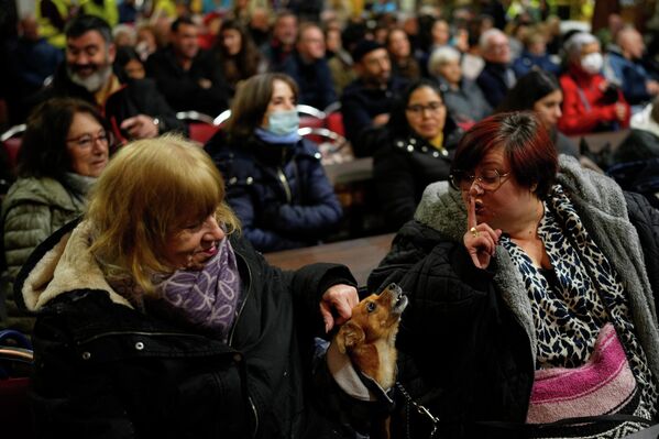ძაღლი პატრონთან ერთად ცხოველთა მფარველი წმინდანის, წმინდა ანტონის დღესასწაულზე მადრიდში. - Sputnik საქართველო