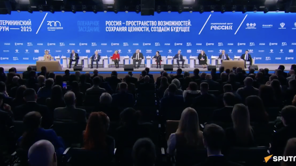 Захарова на заседании Второго Екатерининского форума - видео - Sputnik Грузия