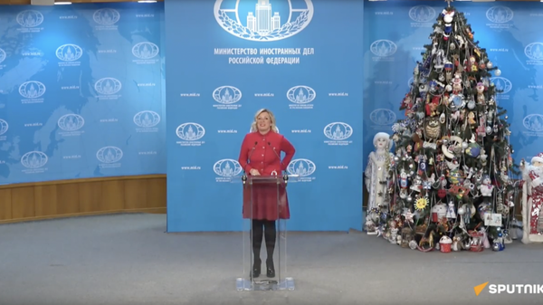 Мария Захарова отвечает на вопросы журналистов по актуальной повестке - Sputnik Грузия