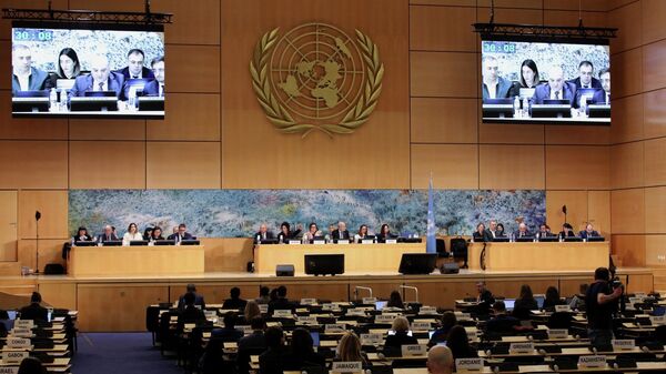 Замглавы МВД Александр Дарахвелидзе на обсуждении Национального доклада о состоянии прав человека в Грузии в Женеве - Sputnik Грузия