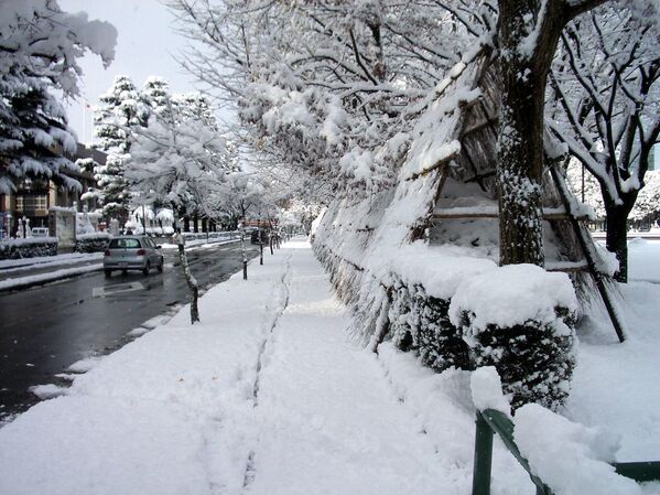 Японский город Тояма после снегопада - Sputnik Грузия